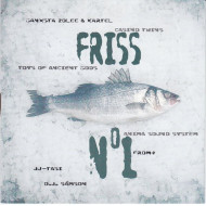 FRISS N°1