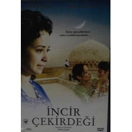 İncir Çekirdeği 