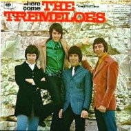 Here Come The Tremeloes 