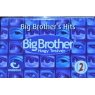 Big Brother's Hits