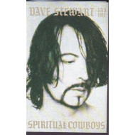  Dave Stewart And The Spiritual Cowboys