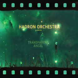 Transparent Angel  (VÉKONY PAPÍRTOK)