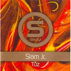 Tűz 