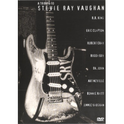  A Tribute To Stevie Ray Vaughan