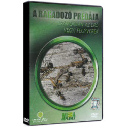 A RAGADOZÓ PRÉDÁJA  - SZÁMOKBAN AZ ERŐ VEGYI FEGYVEREK