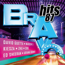 Bravo Hits 87 (2 CD)