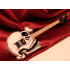 C.C. Deville BC Rich Skeleton custom guitar_mini gitár