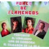 Poker De Flamencos 