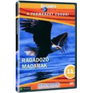 A TERMÉSZET CSODÁI 11. - RAGADOZÓ MADARAK