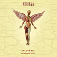 IN UTERO-20TH ANNIVERSARY REMASTERED	  3CD+DVD