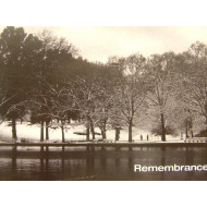 Remembrance 