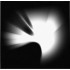 A Thousand Suns (CD+DVD)