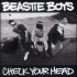 CHECK YOUR HEAD (2 LP)