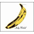VELVET UNDERGROUND & NICO (ECO) (RPKG)