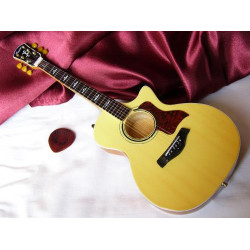 Taylor614CE acoustic_mini gitár
