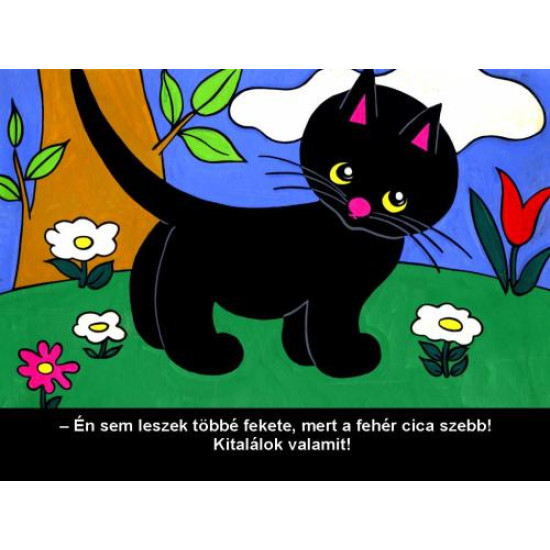 Cikicakk, a fekete cica diafilm (Egyéb) | Lemezkuckó CD bolt