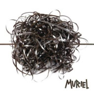 Muriel