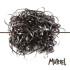 Muriel