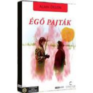 ÉGÕ PAJTÁK