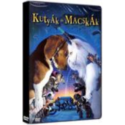 Kutyák és macskák