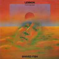  Shaved Fish 