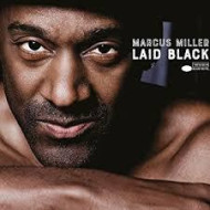 Laid black