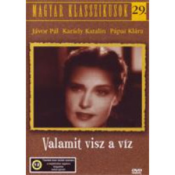 Valamit visz a víz