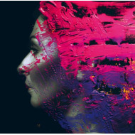 HAND. CANNOT. ERASE (2 LP)