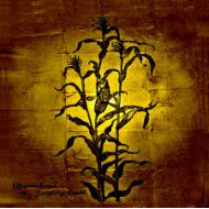 The Laughting Stalk (LP+CD)