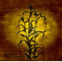 The Laughting Stalk (LP+CD)