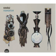Fermentum