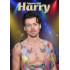 Harry Styles 2025  naptár