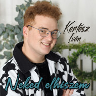 Neked elhiszem