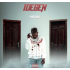 IDEGEN Lp 
