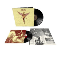 IN UTERO 30TH ANNIVERSARY