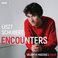 Liszt, Schubert: Encounters