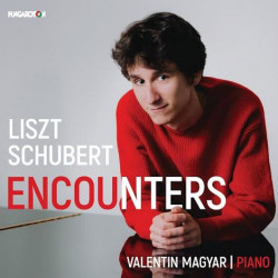 Liszt, Schubert: Encounters