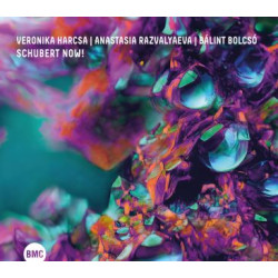 Schubert Now!