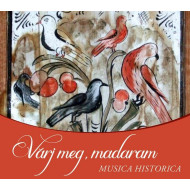 Várj meg, madaram