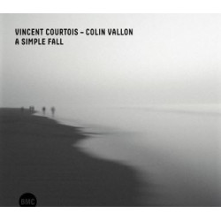 A simple fall