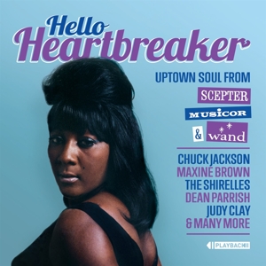 HELLO HEARTBREAKER<br/><h5>Megjelenés: 2020-11-20</h5>