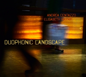 DUOPHONIC LANDSCAPE<br/><h5>Megjelenés: 2020-11-06</h5>