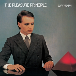 PLEASURE PRINCIPLES<br/><h5>Megjelenés: 1990-06-30</h5>