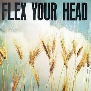 FLEX YOUR HEAD<br/><h5>Megjelenés: 1996-05-08</h5>