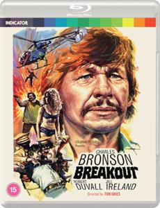 BREAKOUT<br/><h5>Megjelenés: 2020-12-18</h5>