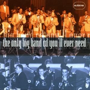 ONLY BIG BAND CD..-20TR-<br/><h5>Megjelenés: 2000-06-06</h5>