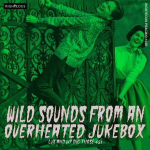 WILD SOUNDS FROM AN OVERHEATED JUKEBOX<br/><h5>Megjelenés: 2021-06-11</h5>