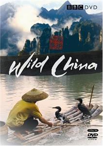 WILD CHINA<br/><h5>Megjelenés: 2008-06-09</h5>