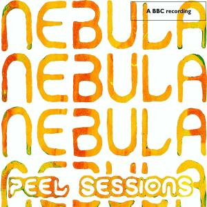 BBC/PEEL SESSIONS<br/><h5>Megjelenés: 2008-10-20</h5>