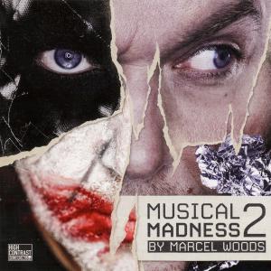 MUSICAL MADNESS 2<br/><h5>Megjelenés: 2010-06-03</h5>